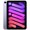 iPad mini (2021)