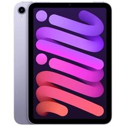 iPad mini (2021)