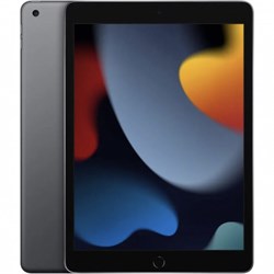 iPad 9 10.2 (2021) Wi-Fi + Cellular 64GB Space Gray 101514203740 - фото 35102