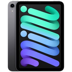 iPad Mini 6 (2021) Wi-Fi + Cellular 256GB Space Gray GskAKvN9ih8iy1qGmjZ670 - фото 35332