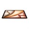 iPad Air 11 M3 (2025) Wi-Fi 1TB  Starlight WuyLIpadgz2LcBd9zXWFh3 - фото 34006