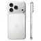 iPhone 17 Pro Max 2TB Silver (2 физ.сим) sQwMF-D2g1DKOfB83ksFp2 - фото 34777