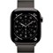 Apple Watch Series 11 46mm Slate Titanium Case with Slate Milanese Loop (S/M) SQm3viW1hzaKZhPy3wqqu2 - фото 34880