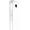 iPad 9 10.2 (2021) Wi-Fi + Cellular 64GB Silver 101503631729 - фото 35100