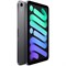 iPad Mini 6 (2021) Wi-Fi + Cellular 256GB Space Gray GskAKvN9ih8iy1qGmjZ670 - фото 35333