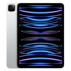 iPad Pro 11 1TB