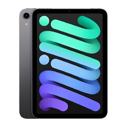 iPad Mini 6 2021 256GB
