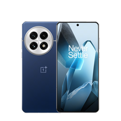 OnePlus 13