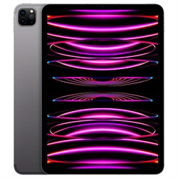 iPad Pro 11 M2 8/512GB Wi-Fi Space Gray PMDueqPGjcKycI8Af41WO3 - фото 17761