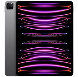 iPad Pro 11 M2 8/256GB Wi-Fi Space Gray bjqsM-S8j54Sb3Ra0ASnR3 - фото 18371