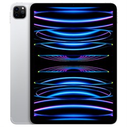 iPad Pro 11 M2 16/1TB Wi-Fi + Cellular Silver e0-jgJYEhQfaCQSBl7feu2 - фото 19042