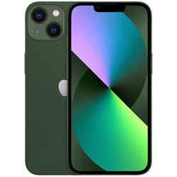iPhone 13 256GB Green 101648804078 - фото 20671