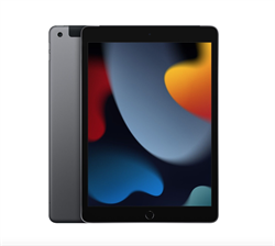 iPad 9 10.2 (2021) 256GB Space Gray Wi-Fi 101500676767 - фото 21177