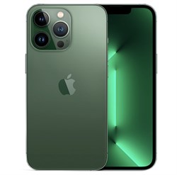 iPhone 13 Pro 512GB Alpine Green htRLeypahb2PsvoClN3ub2 - фото 28630