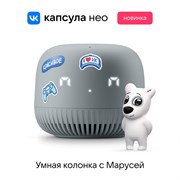 Умная колонка VK Капсула Нео серая QqT22k8pjULS9MJcHEYKA0