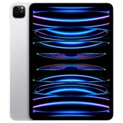 iPad Pro 11 M2 16/1TB Wi-Fi + Cellular Silver e0-jgJYEhQfaCQSBl7feu2