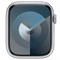 Apple Watch 9 45mm Silver Sport Band (S/M) n3ryTHTCjtozUeEfsbFEU0 - фото 17127
