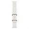 Apple Watch Ultra 2 49mm Ocean Band White bYeSanAVhXyO8emJccYPK2 - фото 18785