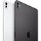 iPad Pro 13 2024 16/2TB Wi-Fi+Cellular Space Black hTDmrW-Xi90Slx7yk4-Pv0 - фото 22018