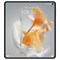 Huawei Mate X3 12/512GB Black 0hxJUfZfhlkYKR9IFu4sk1 - фото 23669