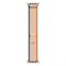 Apple Watch Ultra 2 49mm Trail Loop Orange/Beige (M/L) Q9A3gb8Bjo-Ph59e2gk6M1 - фото 27019